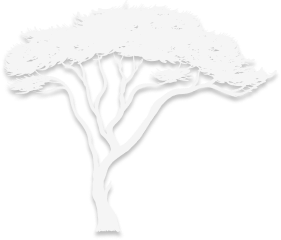 White stylized tree with broad canopy and thin trunk on plain background